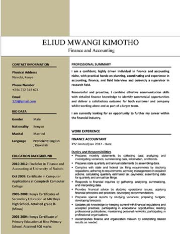 finance accounting cv format and examples in kenya